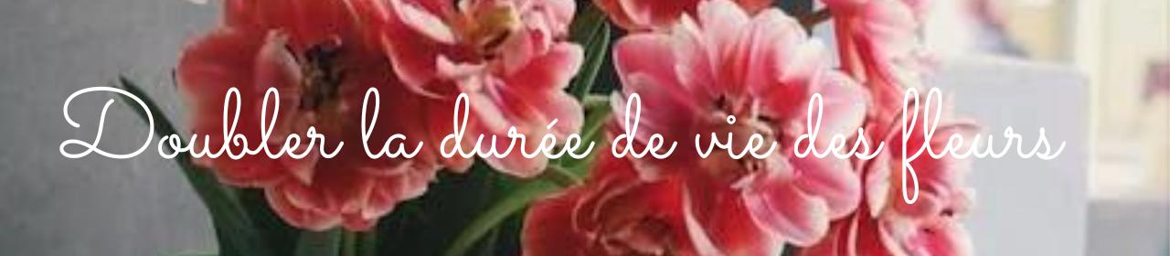 fleuriste nancy des conseils et astuces