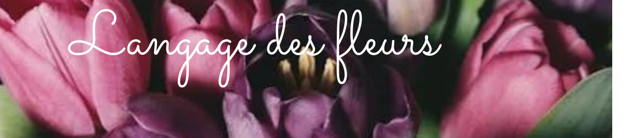 langage des fleurs